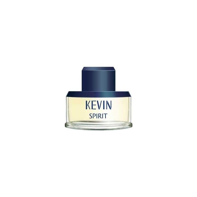 Kevin Spirit