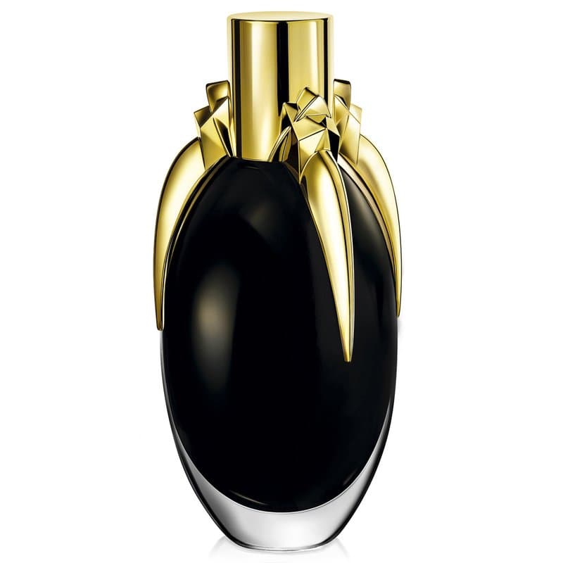 Lady Gaga Fame