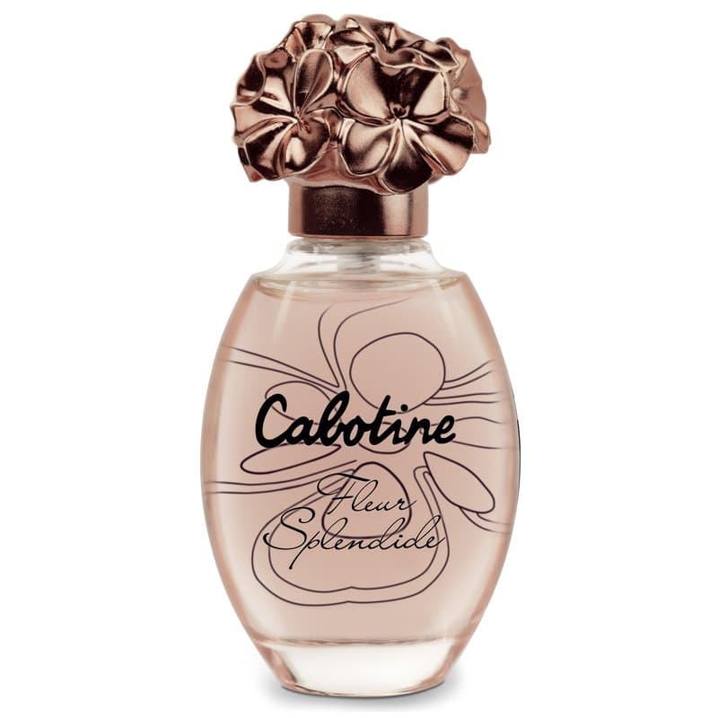 Cabotine Fleur Splendide