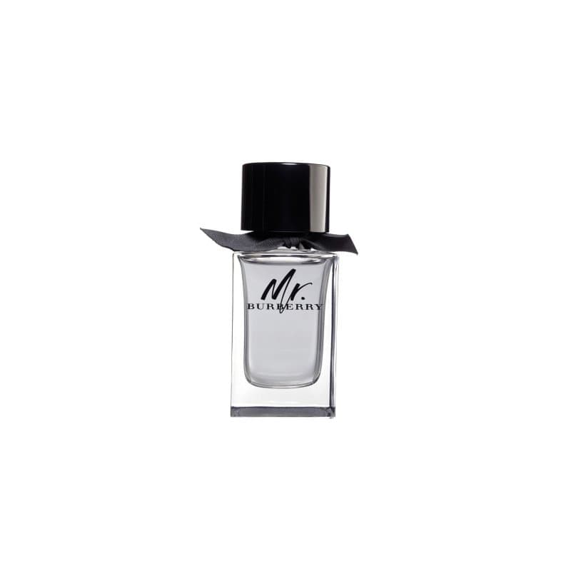 Mr. Burberry EDT