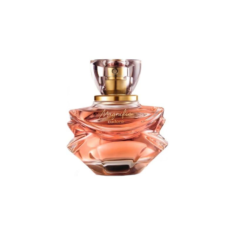 Magnific EDP
